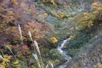 晩秋の妙高高原「大田切渓谷・不動滝」と渓流