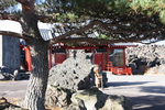 浅間山観音堂の惣門と門前の黒松