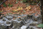 濡れた岩と積もる落葉