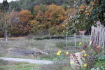 喜多方「三津谷のレンガ蔵」傍の里山の秋景色