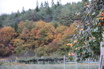 喜多方「三津谷のレンガ蔵」傍の里山の秋景色