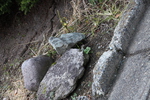 里村傍の置き石