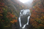 秋景の霧と「袋田の滝」