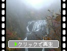 霧雨に煙る晩秋の「袋田の滝」