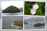 長崎「五島」の島と海岸