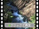 秋日を受ける軽井沢「白糸の滝」からの渓流