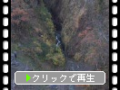 晩秋の妙高「惣滝」と渓流