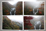 紅葉期の「袋田の滝」遠景