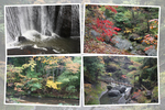 秋の「袋田の滝」の滝壺と渓流