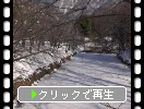 信州「上田城」の氷結した濠と積雪の空堀