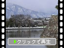 冬の松本城「濠と動物たち」