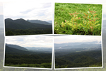 夏の「蒜山高原」と朝の変化