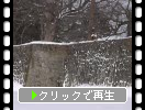 冬積雪の「会津若松城」の「石垣と濠」