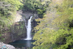 新緑と富士「白糸の滝」