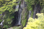 断崖を流れ落ちる春・新緑期の「白糸の滝」