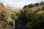 春の富士宮「白糸の滝」全景