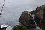 碁石海岸「断崖と海鳥たち」