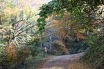 秋の五木村「白滝へ道」