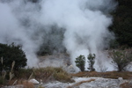 温泉の噴蒸気と傍のススキ