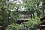緑に囲まれた円覚寺の山門