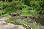 初夏の円覚寺「大方丈庭園の池と岩」