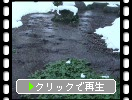 降雪の金沢・尾山神社「神苑の雪解け」