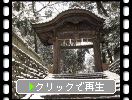 降雪の金沢・尾山神社「東神門と椿」