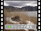 冬の日光「中禅寺湖畔」と枯れススキ