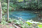 湧水の青い「神の子池」