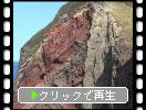 隠岐・知夫里島の「赤壁」近景