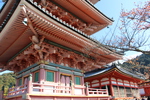 秋の清水寺「三重塔」近景