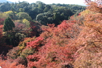 京都・清水寺「本堂舞台」から見た秋景色