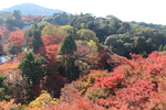 京都・清水寺「本堂舞台」から見た秋景色