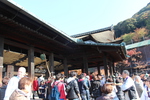 秋の京都・清水寺「本堂舞台の人々」