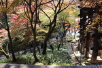 秋の京都・清水寺「本堂舞台の懸け造り」