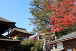 秋の京都・清水寺「地主神社」