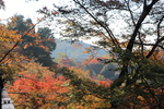 秋の京都・清水寺