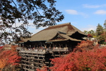 秋の清水寺「本堂舞台」