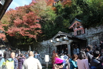 秋の京都・清水寺「音羽の滝」