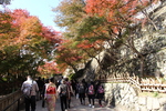 秋の京都・清水寺「参道」