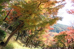 秋模様の京都・清水寺