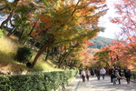 秋の清水寺参道