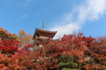 紅葉の京都・清水寺「三重塔」
