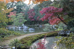 秋模様の金閣寺「鏡湖池」