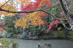 秋模様の金閣寺「鏡湖池」