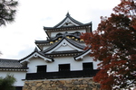 秋の彦根城「天守閣と紅葉」