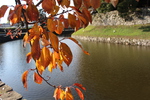 秋の彦根城「濠と黄葉」