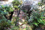 秋の湖東・百済寺「喜見院の庭園」