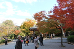 秋景色の平等院「六角堂」
