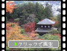 秋の京都・銀閣寺の「銀閣」遠景